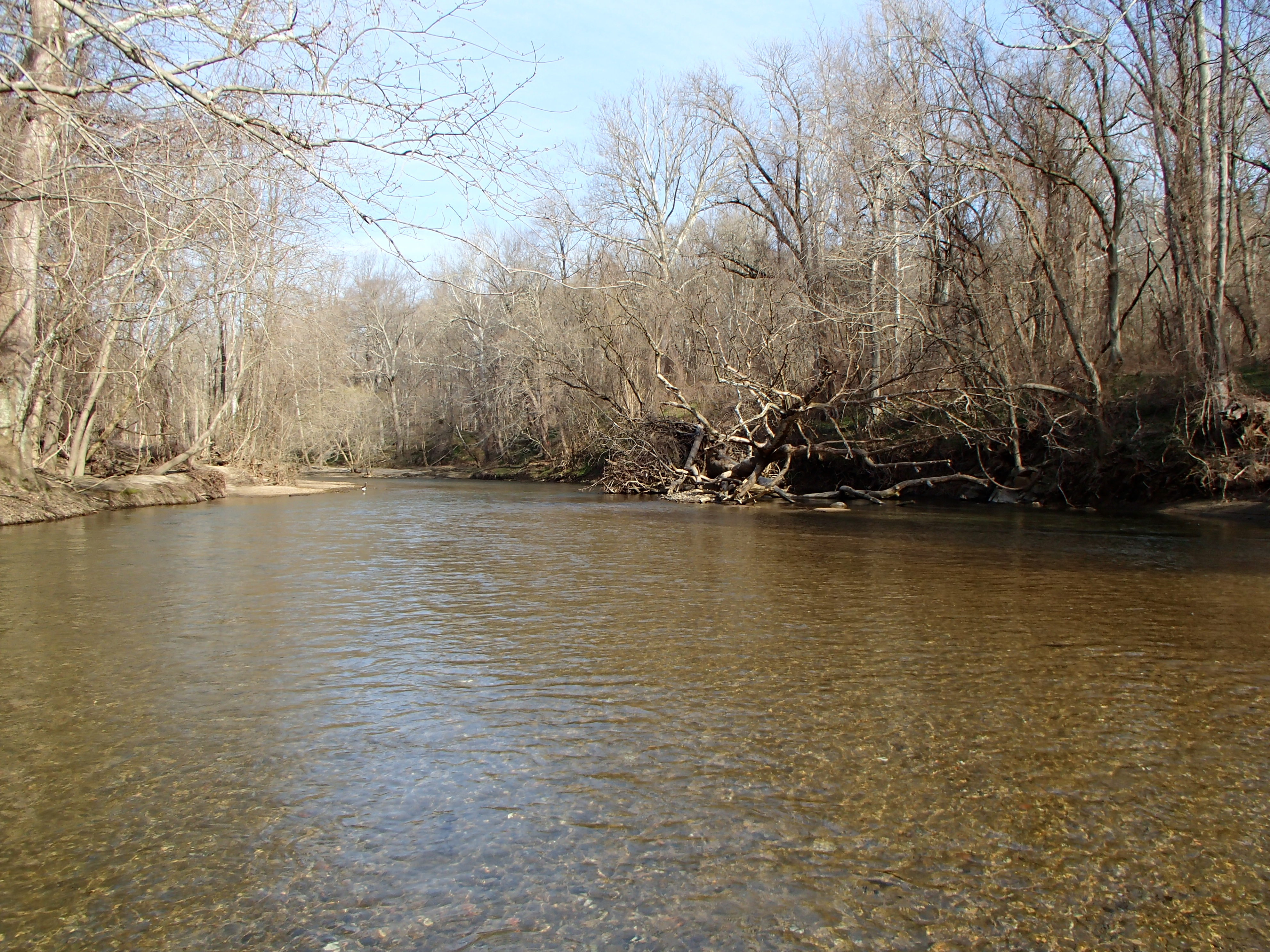 Field photo showing stream conditions at site PATL-B04-X-2016_midpoint looking upstream